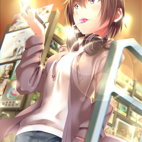 一枚絵(2016年頃)