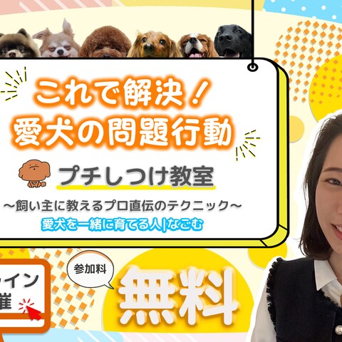 わんちゃんオンラインしつけ教室