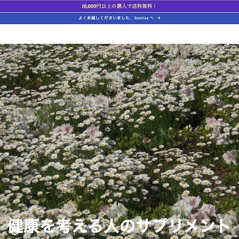 Shopify ECサイト