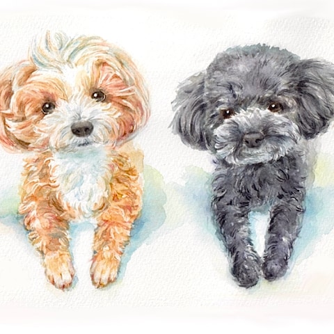 ペット似顔絵/手描きの水彩画で優しく描きます