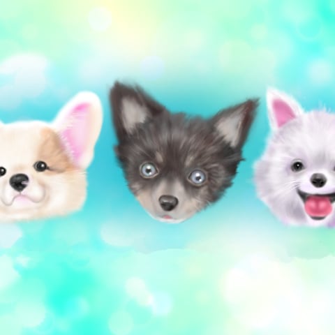 ワンちゃんイラスト