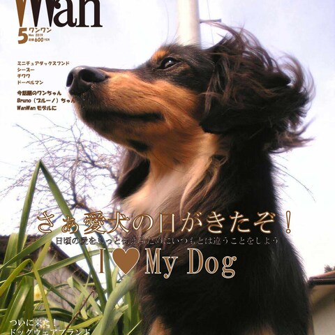 犬雑誌の表紙