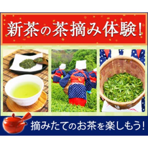 茶摘み体験の広告バナー