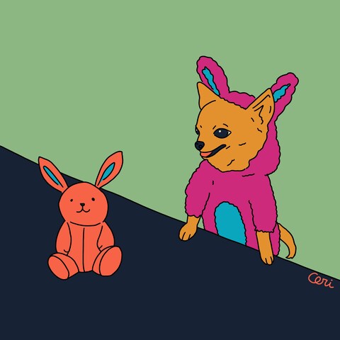 チワワのご依頼