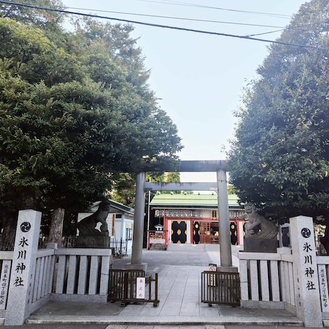 池袋氷川神社(豊島区) 23.11.2