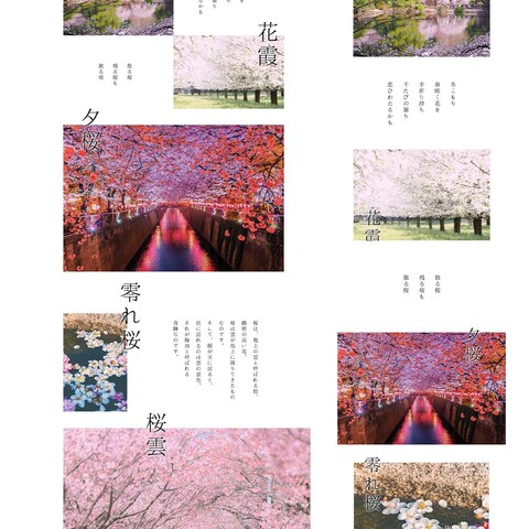 『桜』のオリジナルLP