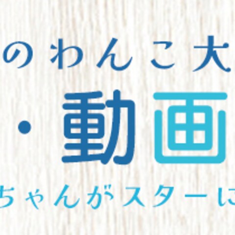 ワンフェス
