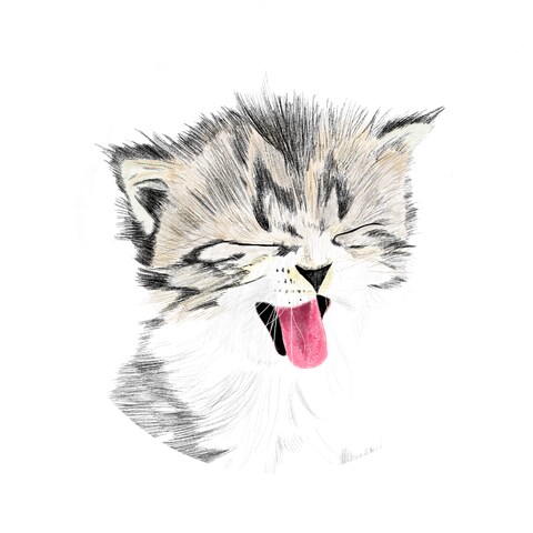 リアルねこアイコン