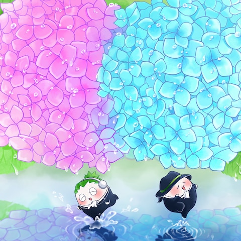 紫陽花