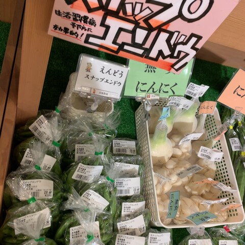 北海道　道南　厚沢部町　道の駅　POP