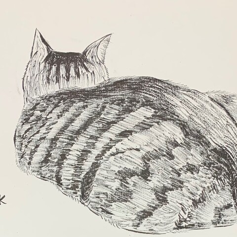 座っているサバトラの後ろ姿のイラスト