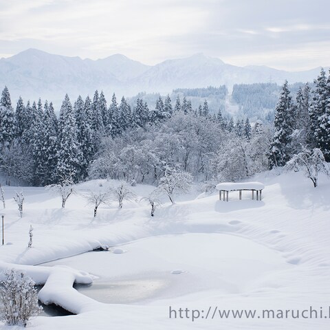 山と公園の雪景色