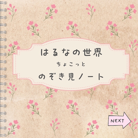 ꕤのぞき見ノートꕤ  表紙