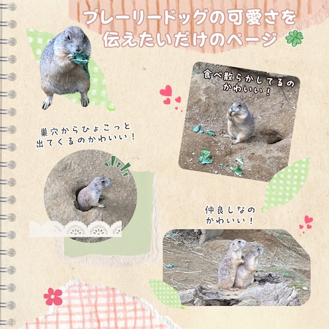 プレーリードッグの可愛さをただただ伝えたいだけのページ