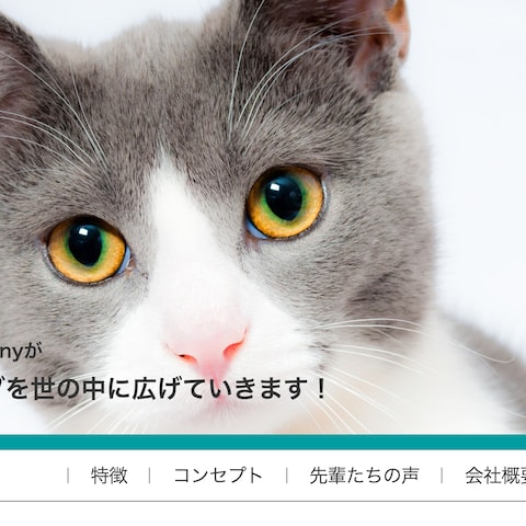 企業ホームページ制作