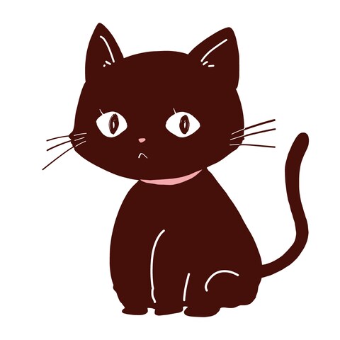 黒猫
