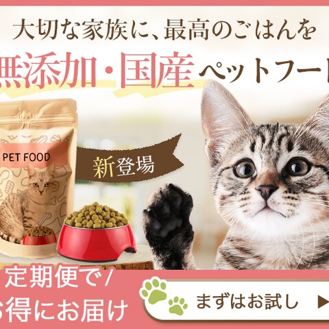 ペットフード　バナー