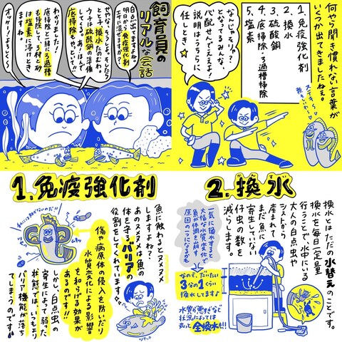 魚の病気「白点病」と闘う飼育員