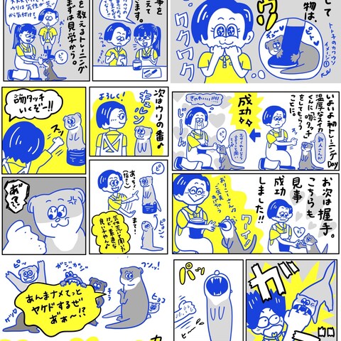 カワウソ飼育員の仕事