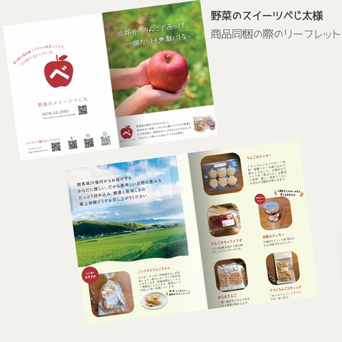 野菜のスイーツべじ太様　商品同梱の際のリーフレット