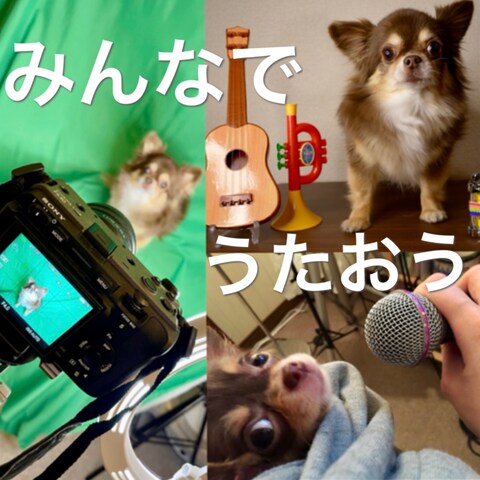 あなたのペットさんの声で世界に1つだけのオリジナルソングを！