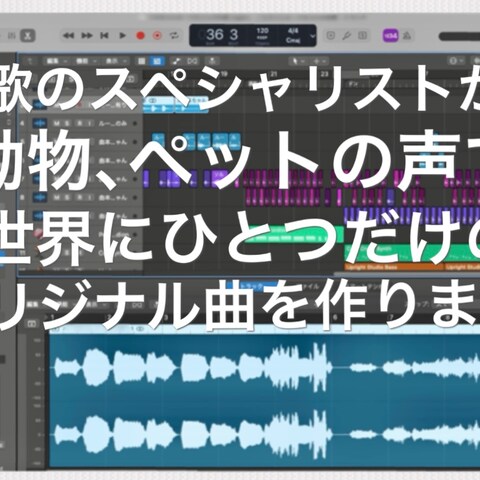 動物、ペットの声で、世界に1つだけのオリジナルソングを！