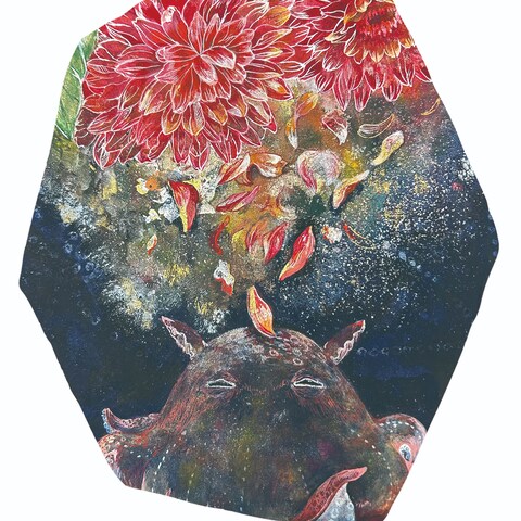 個展DM