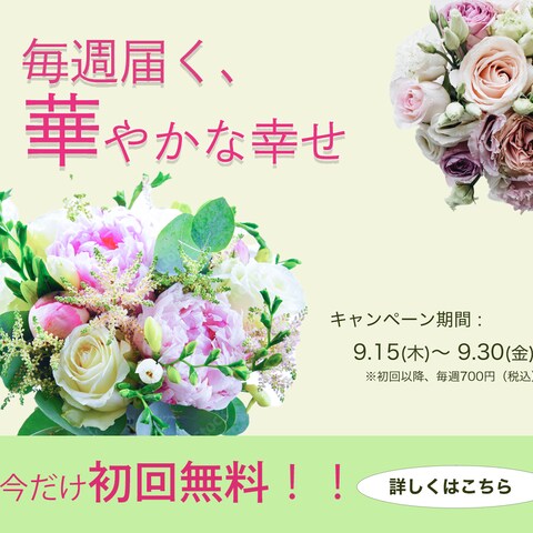 お花の定期便バナー広告