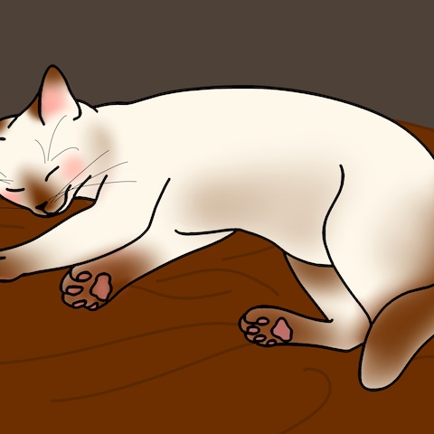 横たわる猫