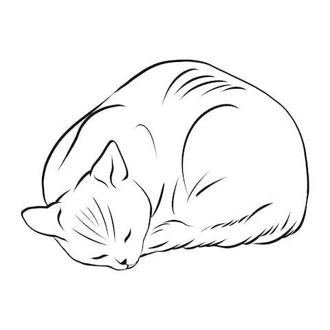 丸まる猫