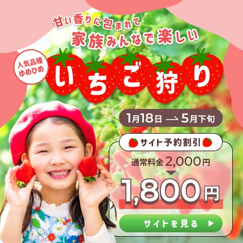 いちご狩りバナー