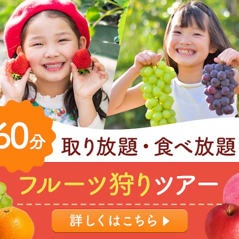 フルーツ狩りバナー