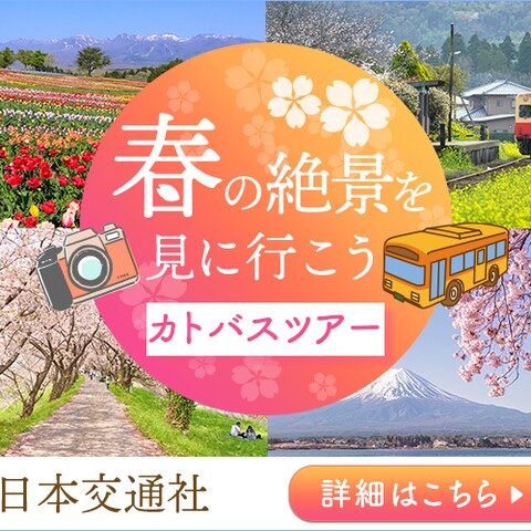 春バスツアーバナー