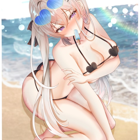 1枚絵