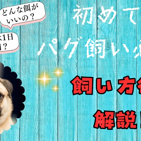 YouTubeサムネイル画像作成例