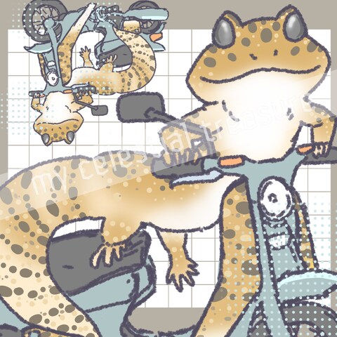 レオパ×カブ×到着
