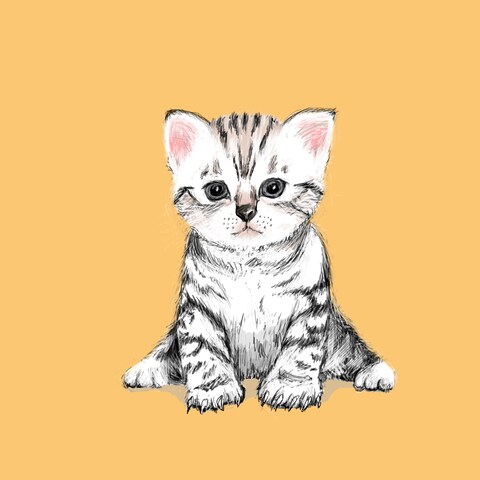 猫ちゃんのイラスト作成