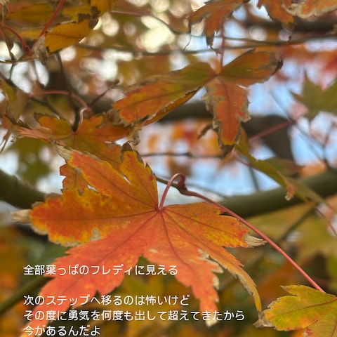 葉っぱのフレディ