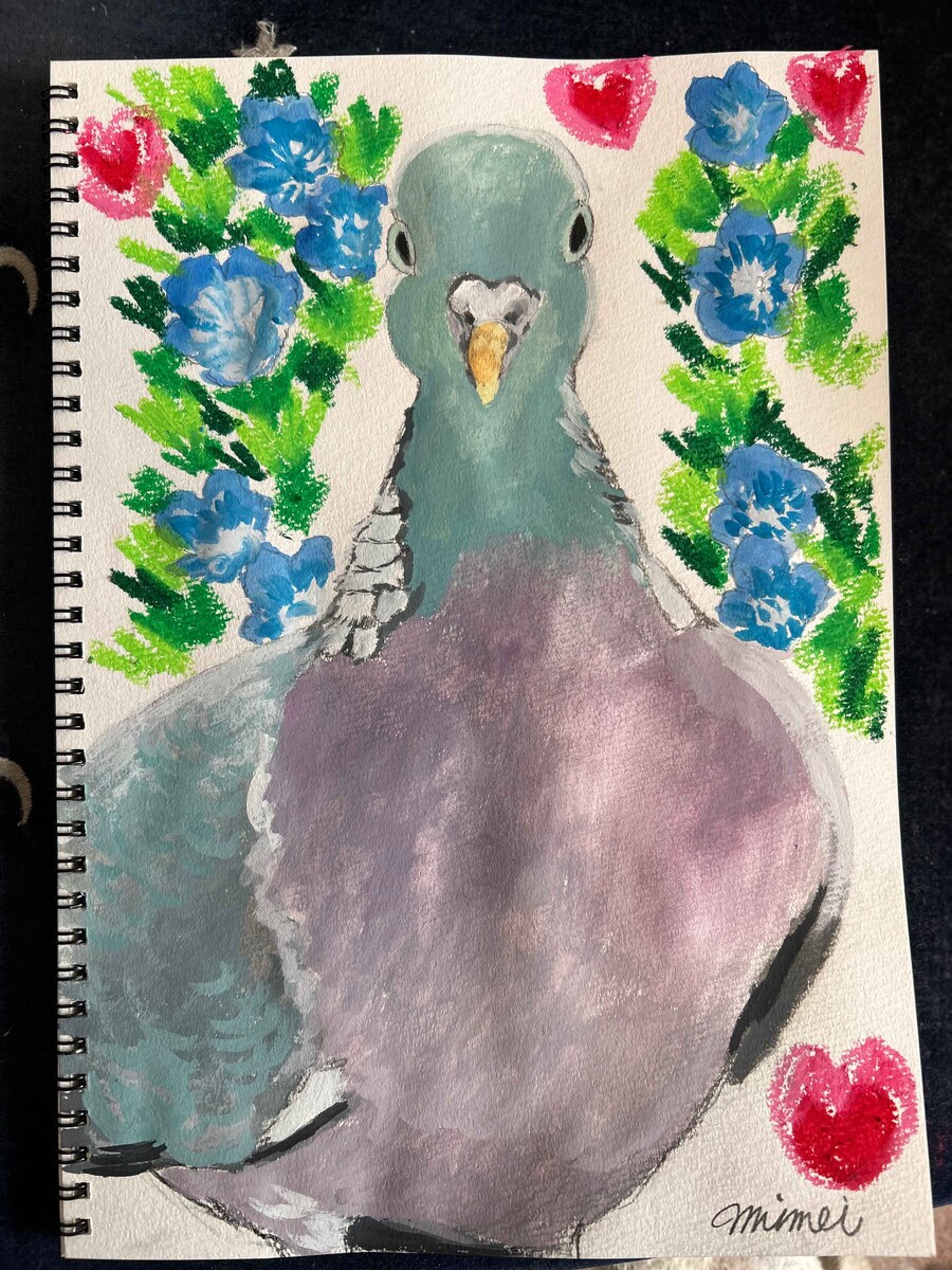 Wood pigeon