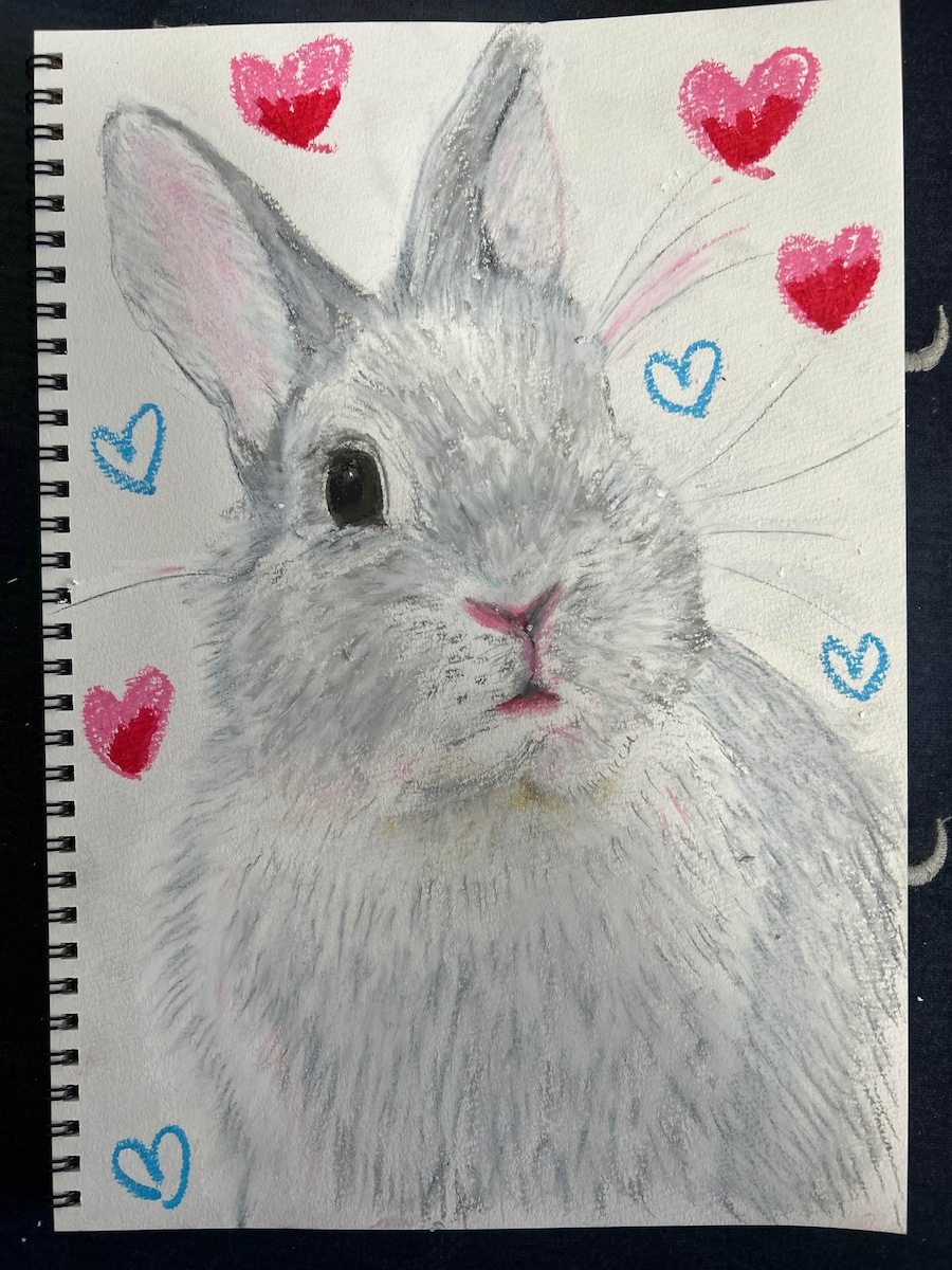 rabbit