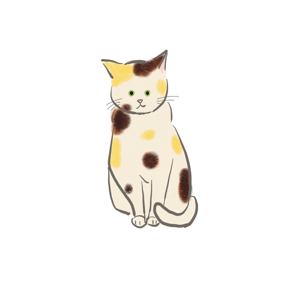 三毛猫ちゃん