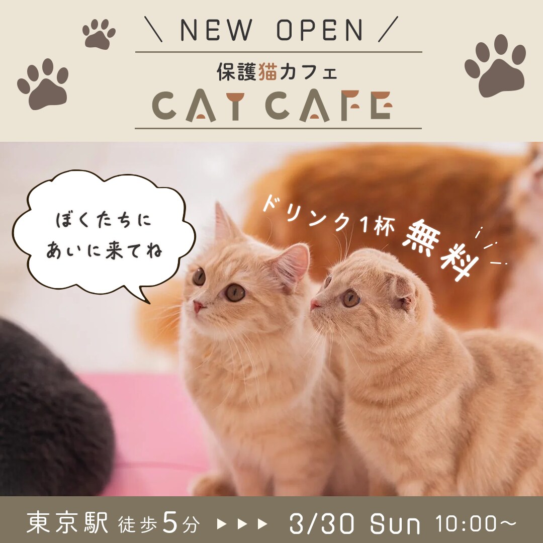 【自主制作】保護猫カフェバナー