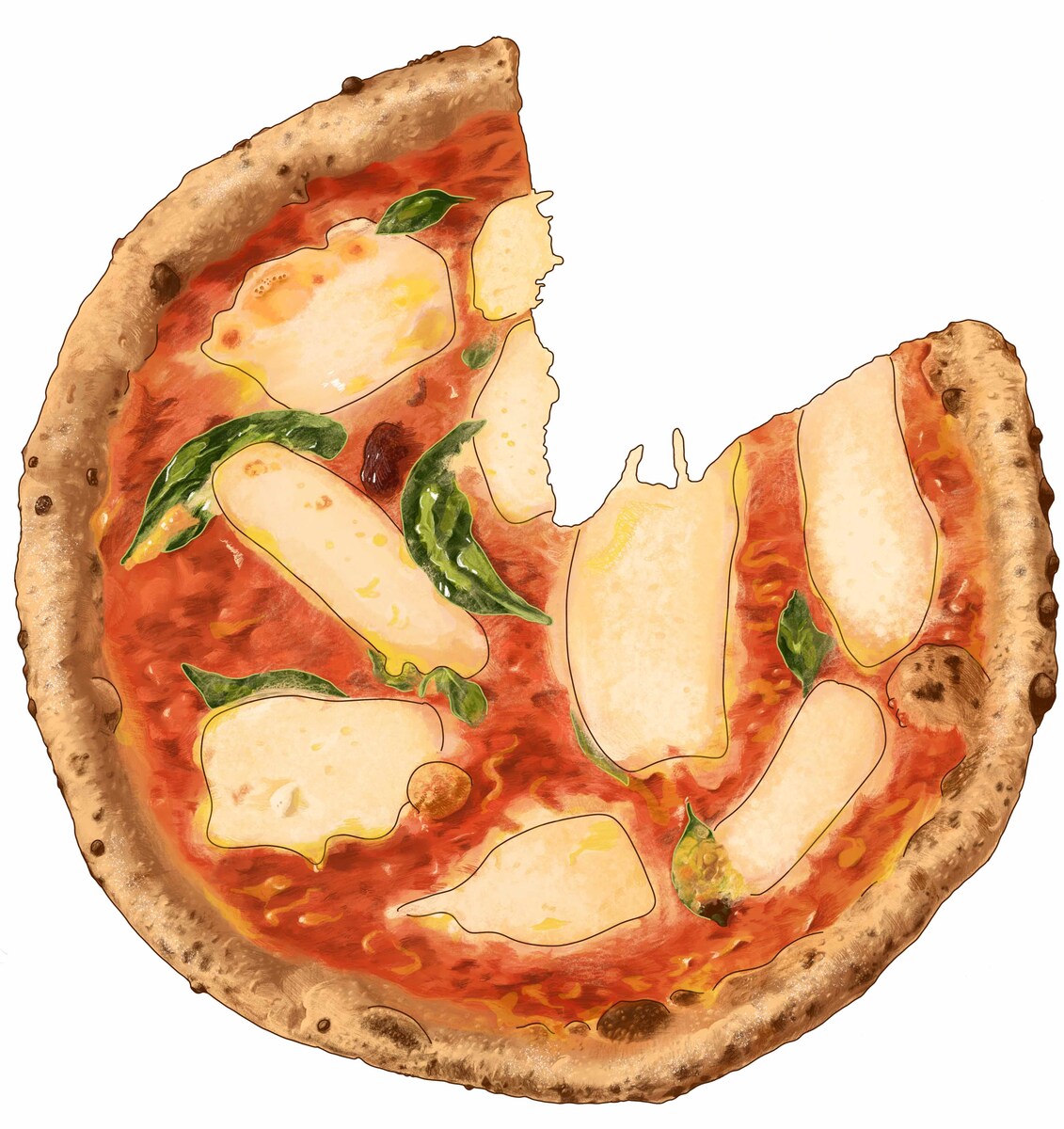 【トラットリア・ターボロ・ディ・フィオーリ】看板使用イラスト