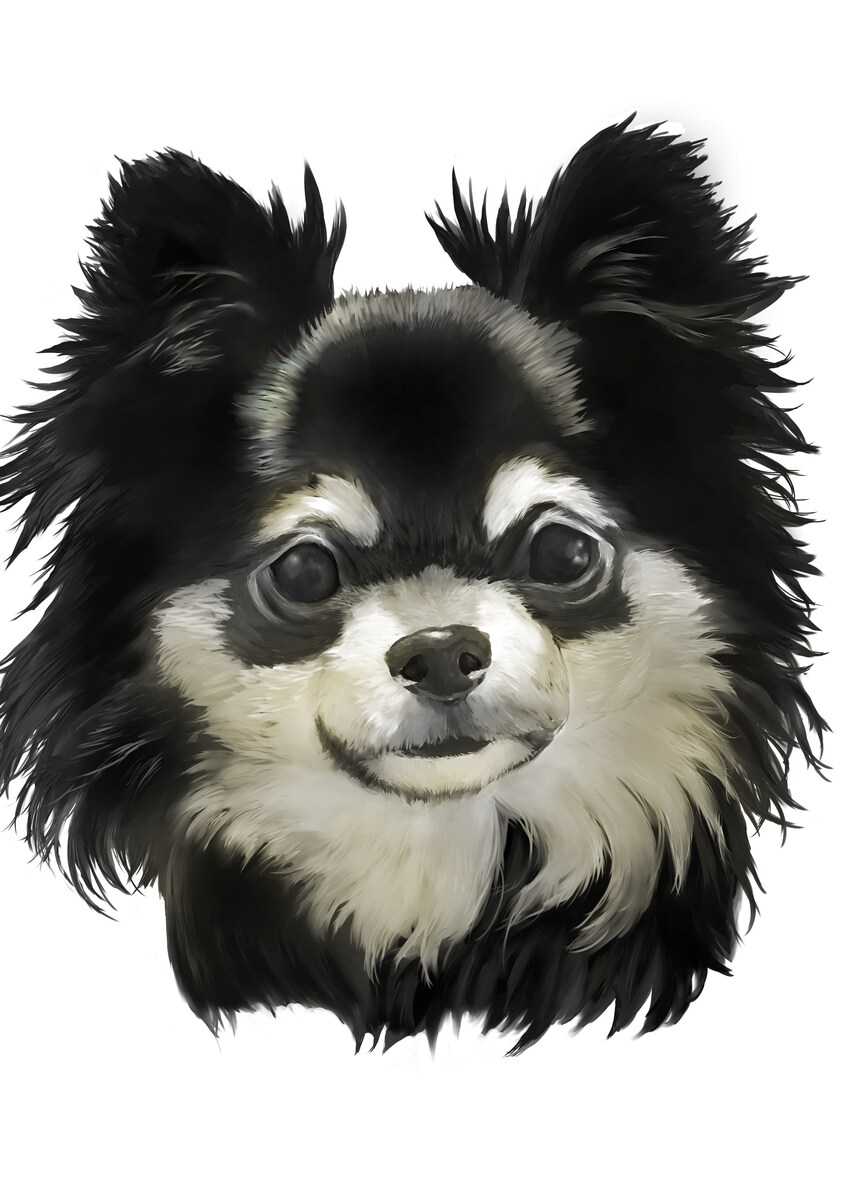 愛犬チワワの似顔絵です。