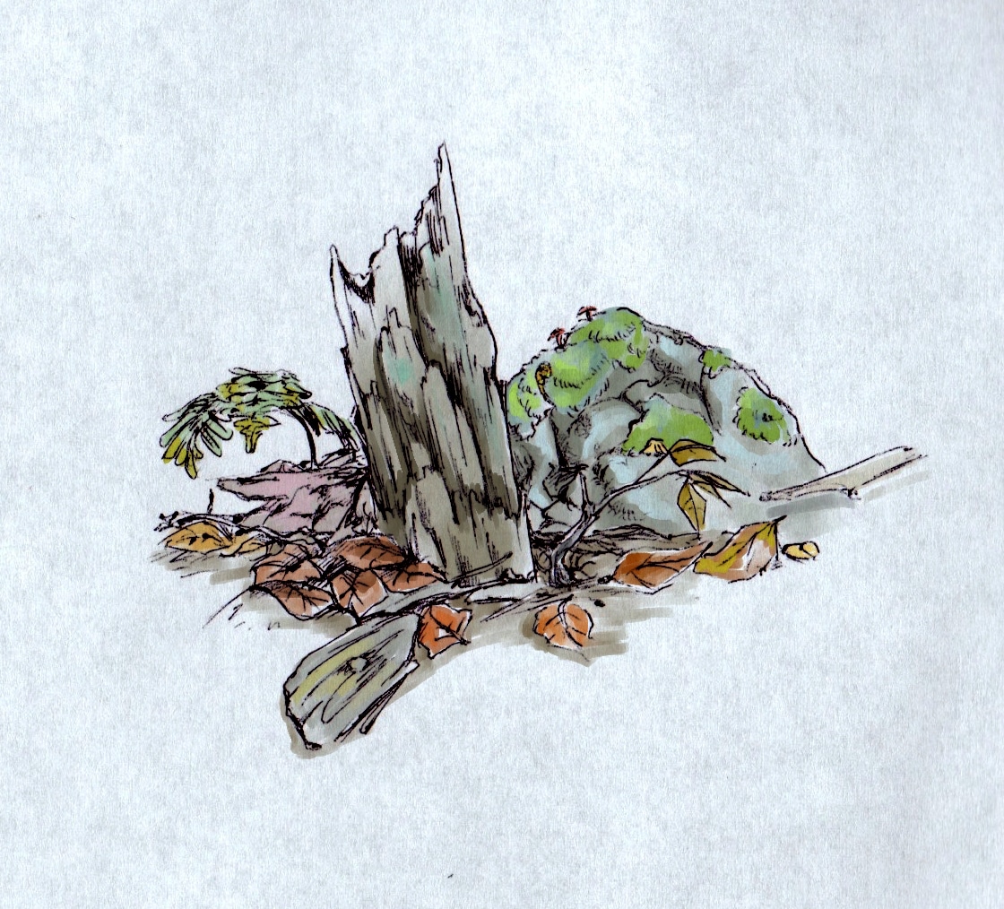 ボールペン画、CLIPSTUDIOPAINTで水彩風着彩