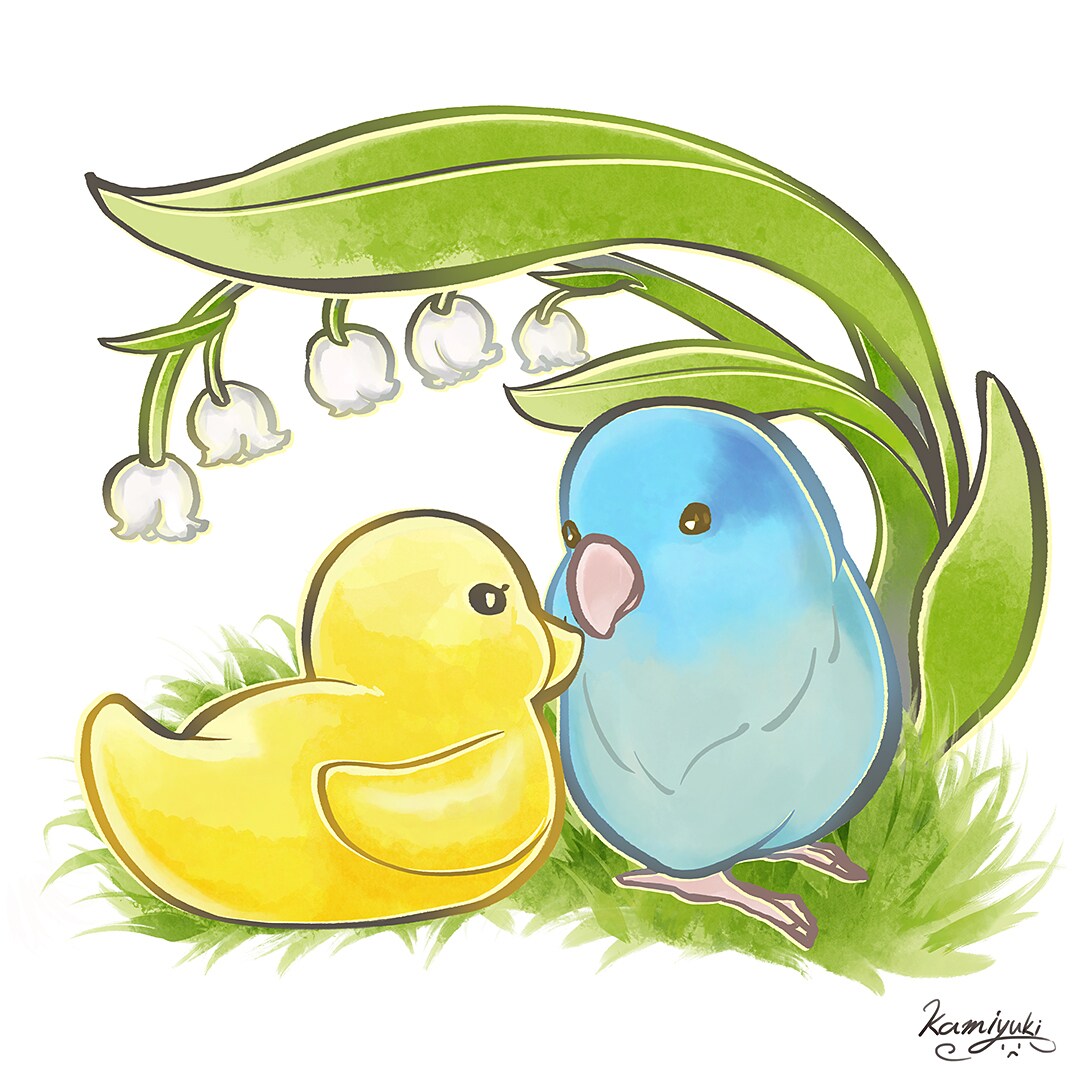 愛鳥のマメルリハ イラスト