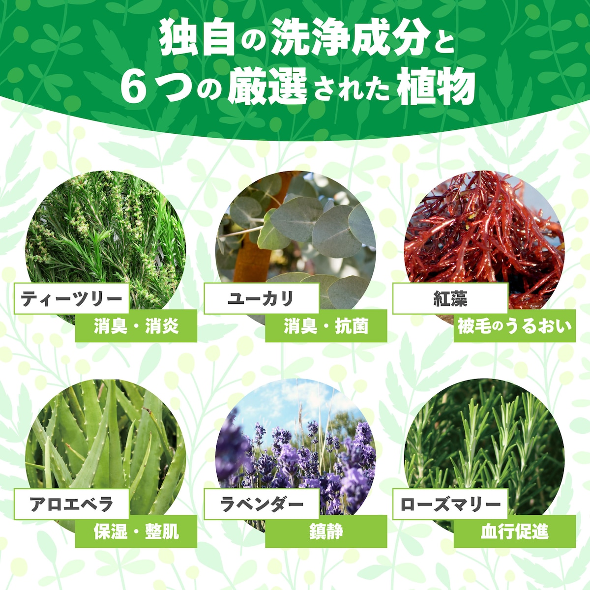 犬商品_サムネイル３