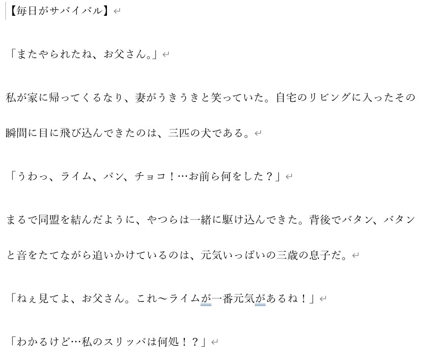 SNS小説家のストーリーの骨組み