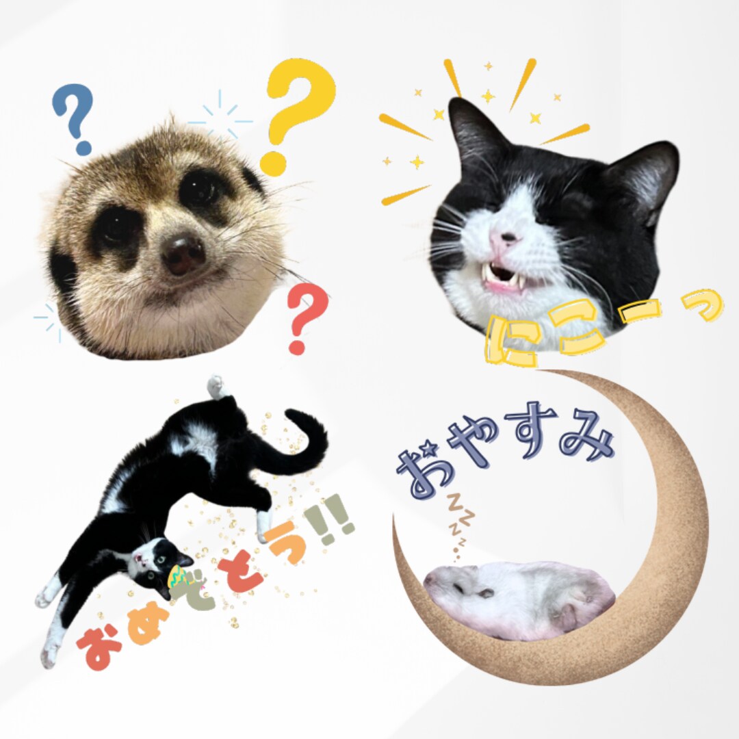 LINEスタンプ　カラフルデザイン