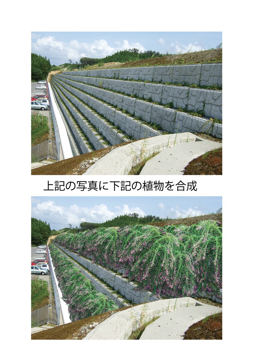 画像合成